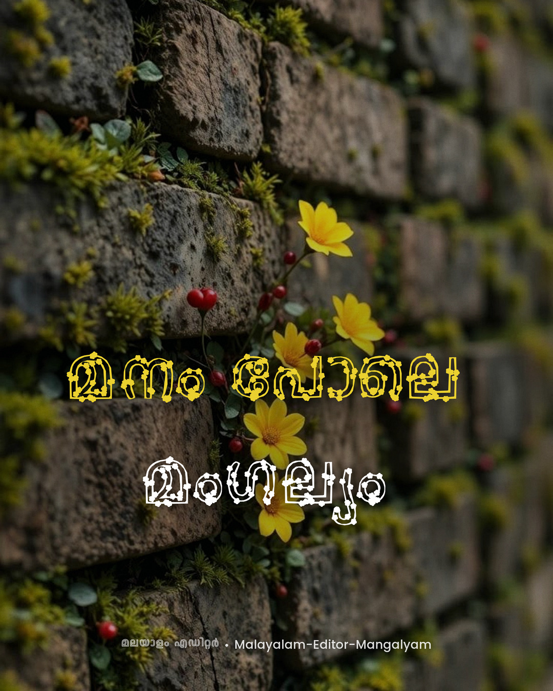 Malayalam Image Editor font poster sample 2