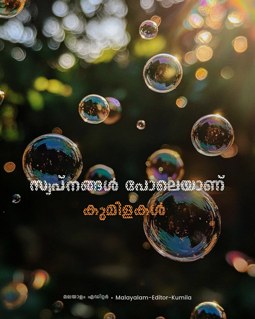 Malayalam Image Editor font poster sample 4