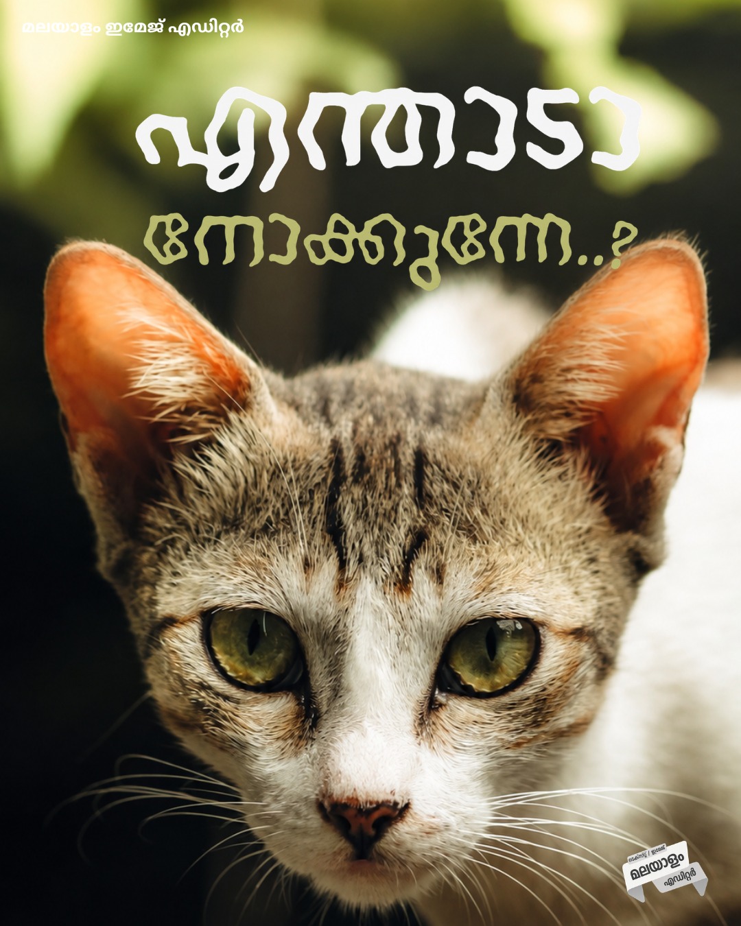 Malayalam Image Editor font poster sample 16